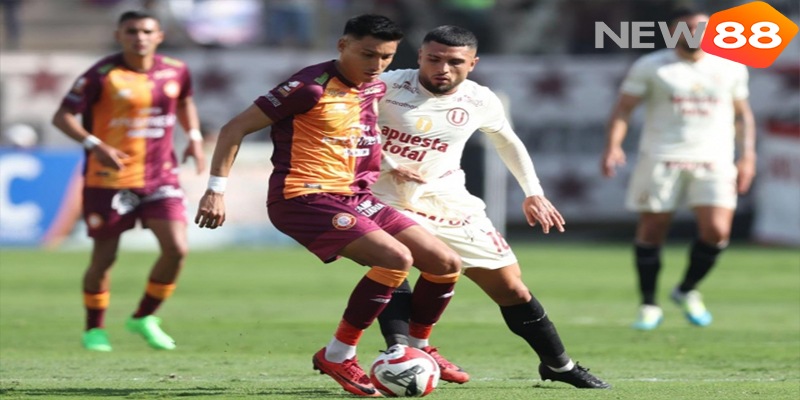 Kèo Chấp 1 Hoà Là Gì? New88 Hướng Dẫn Chi Tiết & Mẹo Chốt Kèo Chuẩn 6 Ví dụ kèo chấp 1 hoà trận AD Tarma vs Los Chankas